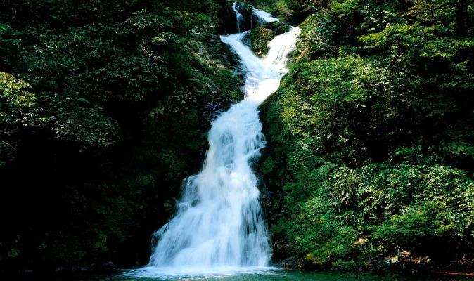 喜訊！井岡山獲評“中國天然氧吧”稱號！