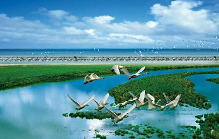 鄱陽(yáng)湖