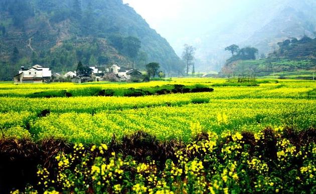 旅行的路上我們?cè)谧非笫裁?？又找到了什么?></a><a href=